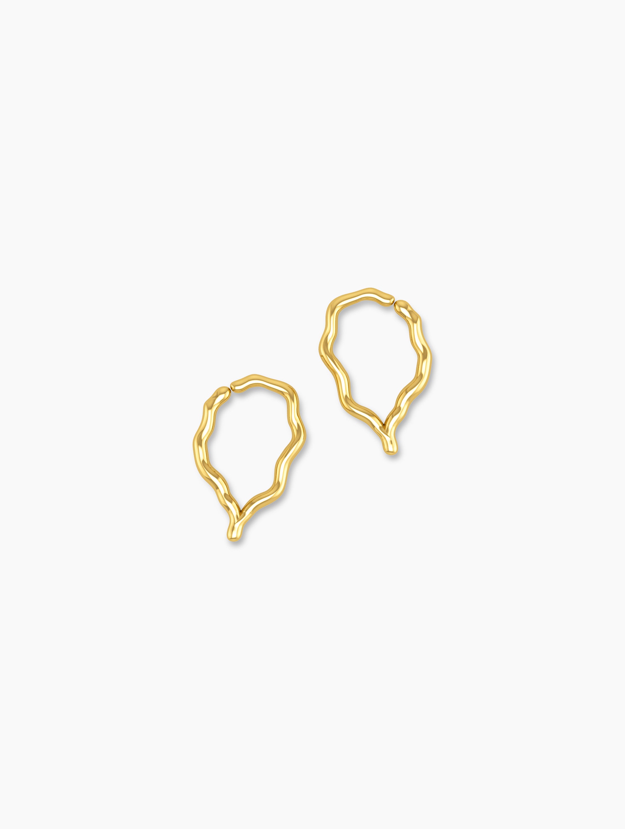 WISH Entwine small Earrings